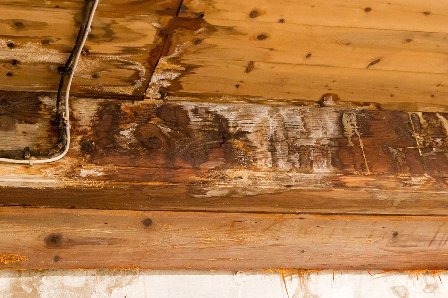 Protecting Your Home: Why a Dry Crawlspace Matters